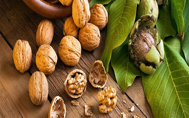 Vua Hạt Đậu - Macca & Các Loại Hạt