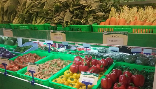 Bộ Sưu Tập Top Cửa Hàng Thực Phẩm Bán Chạy Nhất 