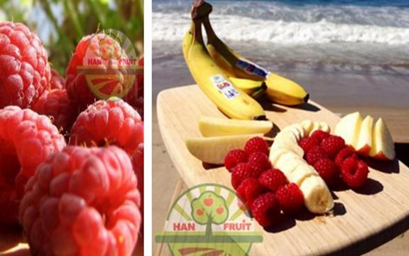Han Fruit - Trái cây nhập khẩu