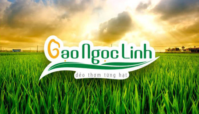 Gạo Ngọc Linh - Định Công