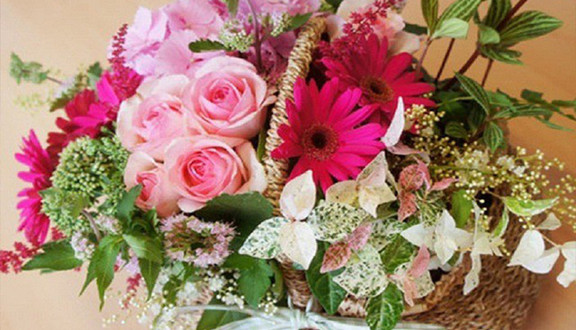 Hoa Tươi Joy Flower