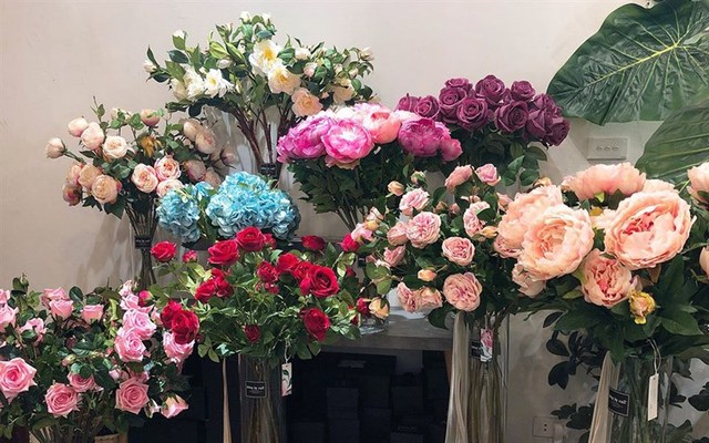 Bông By Catt - Vọng Hà