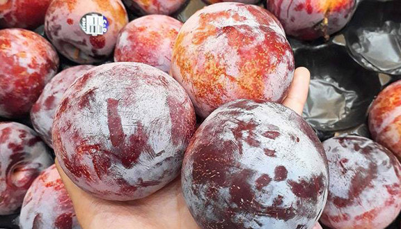 Bông Sữa Fruit - Hoa Quả Nhập Khẩu