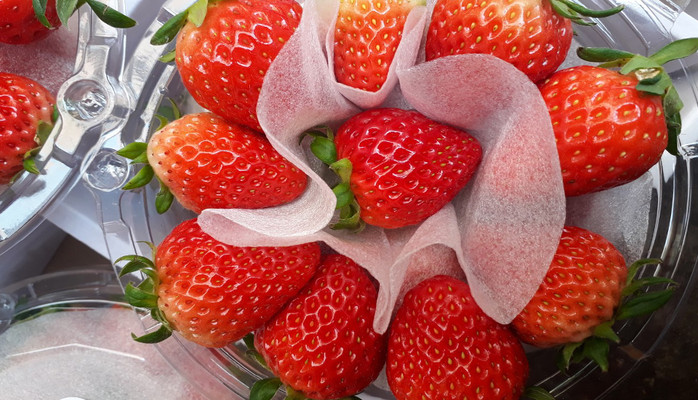 Dinfruit - Hoa Quả Nhập Khẩu - Trung Kính