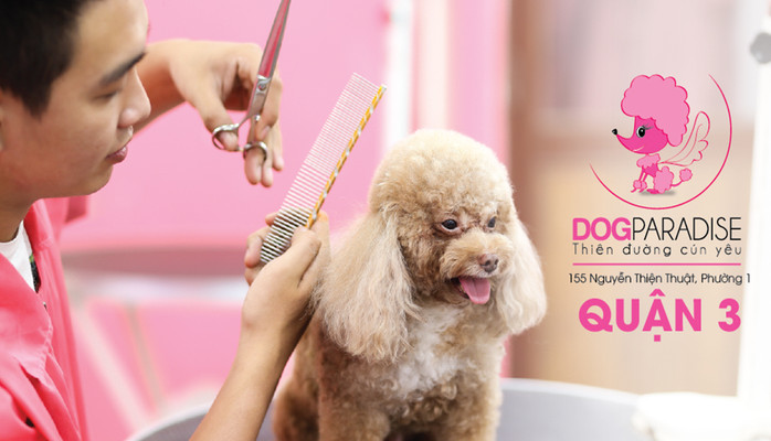 DogParadise - Cửa Hàng Thú Cưng - Nguyễn Thiện Thuật