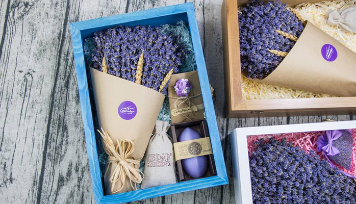 Lavender Trung Quân - Hoa Oải Hương Pháp