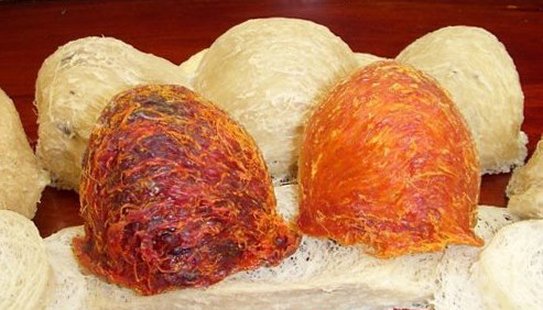 Yến Sào Khánh Hòa - Trần Xuân Soạn