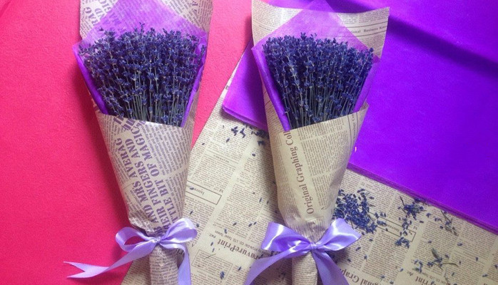 Lavender Trịnh - Hoa Oải Hương