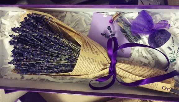 Lavender Hà Nội