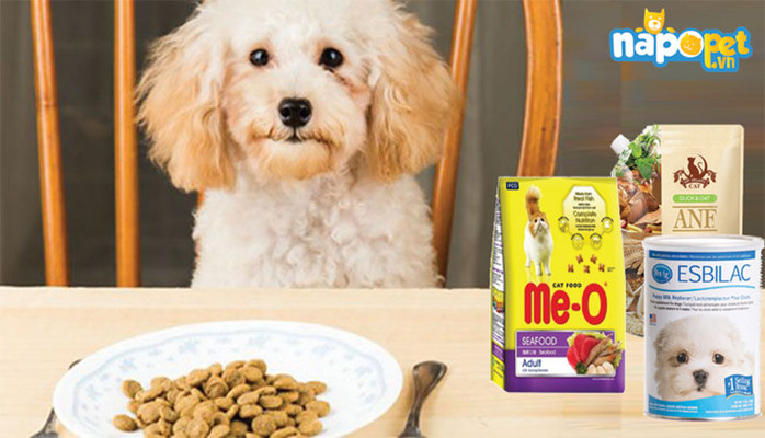 Napopet - Cửa Hàng Thú Cưng