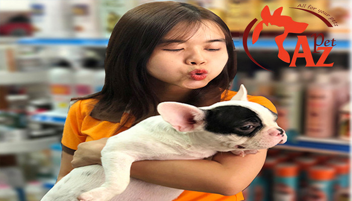 AZ Pet - Cửa Hàng Thú Cưng - 53A Đặng Văn Bi