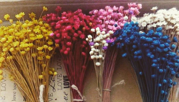 Hoa Khô Đà Nẵng