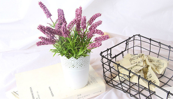 Hoa Lụa Ngân Hà