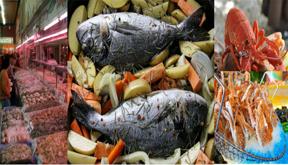 Galaxy Seafood - Hải Sản XK