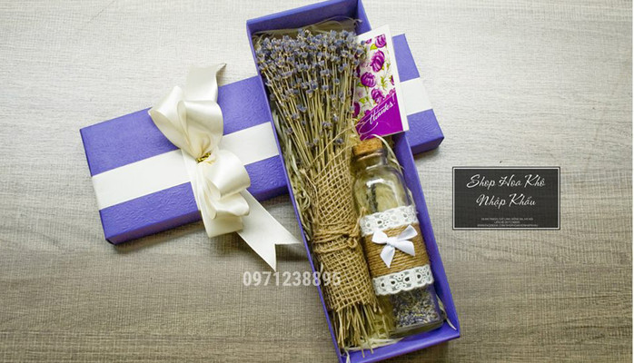 Shop Hoa Khô Nhập Khẩu