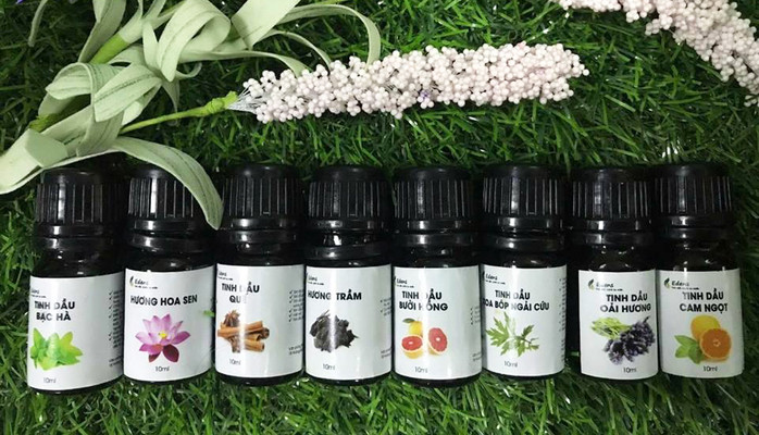 Tinh Dầu Thiên Nhiên - Phạm Văn Đồng