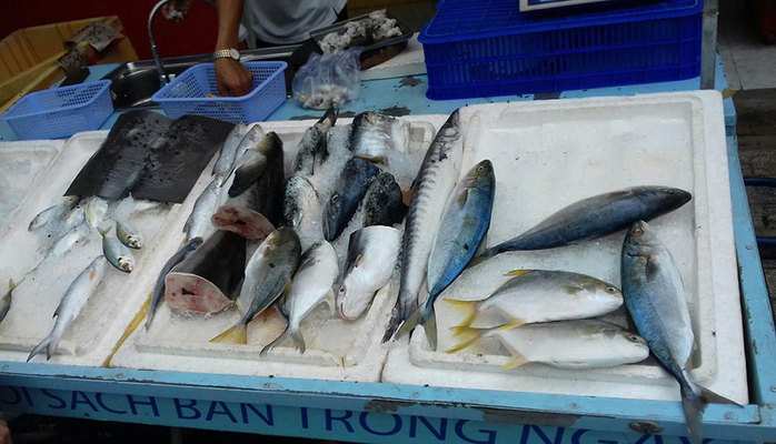 Bido Seafood - Hải Sản Tươi Sống