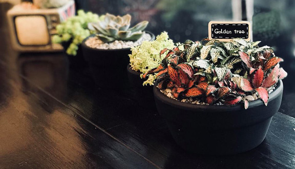 Golden Tree - Coffee,Tea & Bánh Waffle