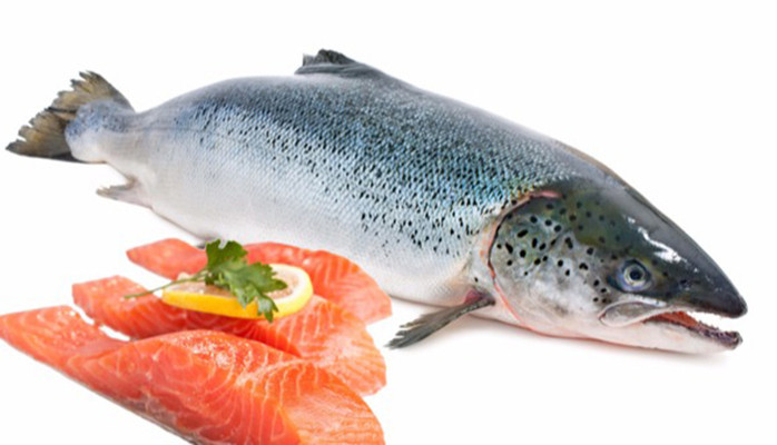 Cá Hồi Đà Nẵng