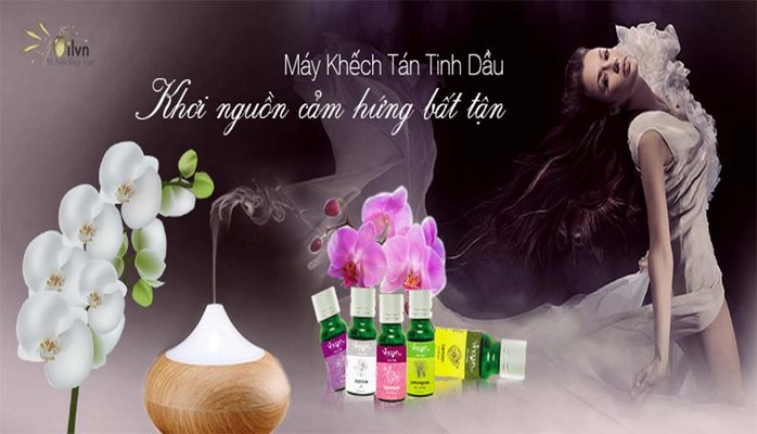 Oilvn - Thế Giới Tinh Dầu