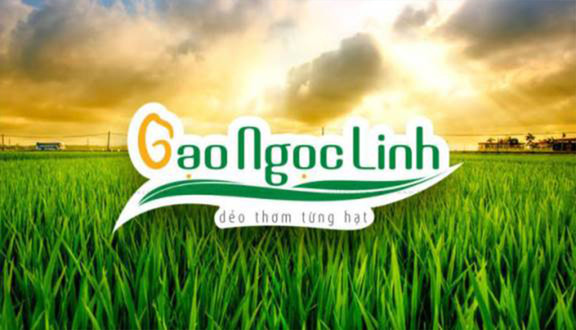 Gạo Ngọc Linh - Yên Hòa