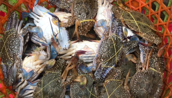 Hải Sản Nam Khôi