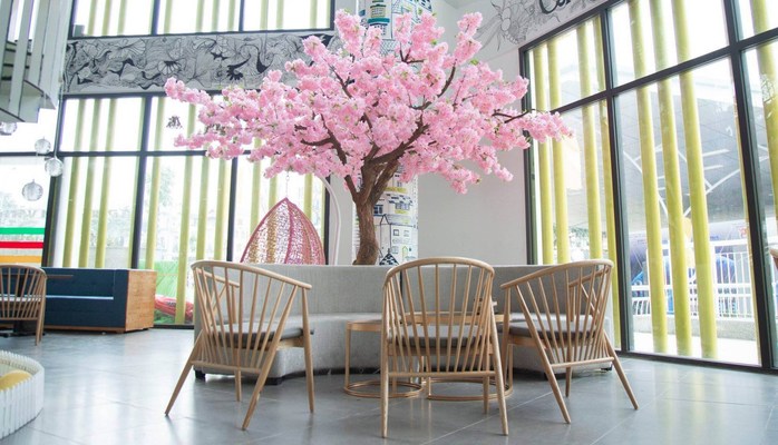 Startup Coffee - Cung Thiếu Nhi Hạ Long