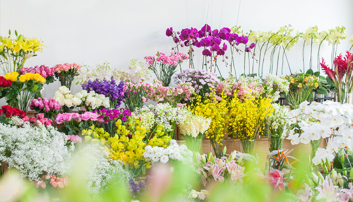 Dalat.Flowers - Võ Thị Sáu