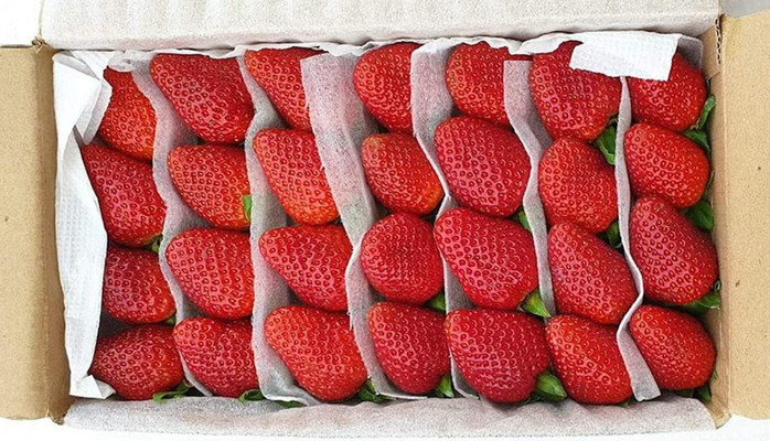 Fresh Farm Thảo Điền - Organic Food & Fruits