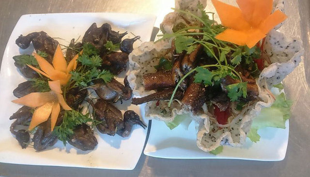 Chim to dần | Foody.vn