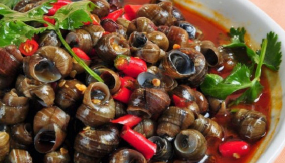 Ốc Ngân - Âu Dương Lân