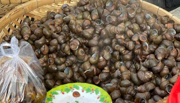 Chị Tâm - Ốc Luộc Chợ Bình Tiên