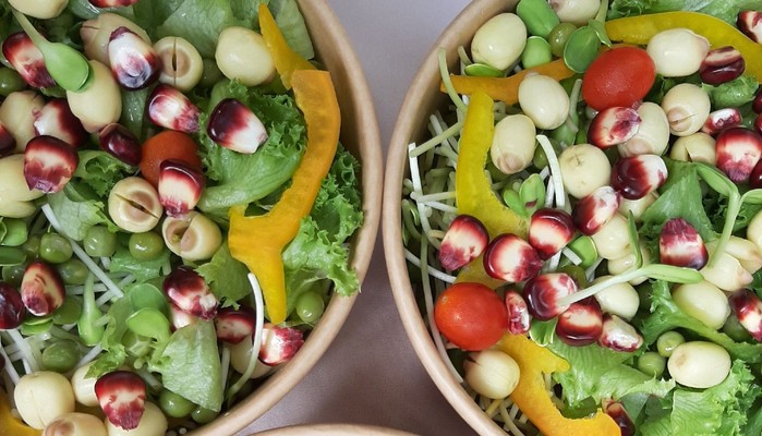 Vtech Farms - Salad Rau Mầm - Shop Online