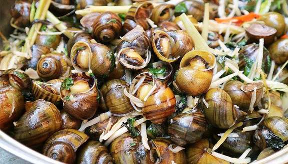 Thúy Ốc - Ngõ Lụt