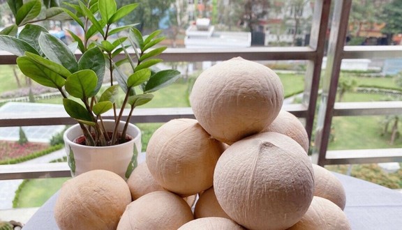 Dừa Xiêm Bến Tre