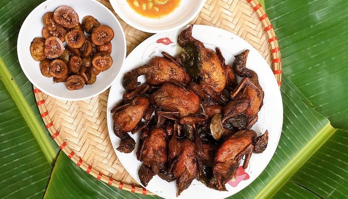 Nguyên An - Chim Cút Online