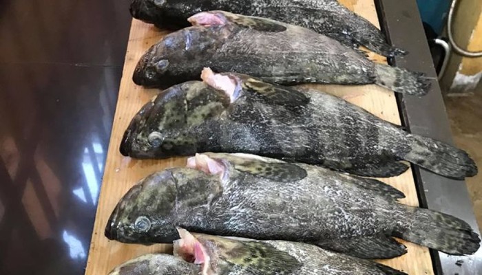 Mười Rau - Thực Phẩm Cá Sạch Tiện Lợi