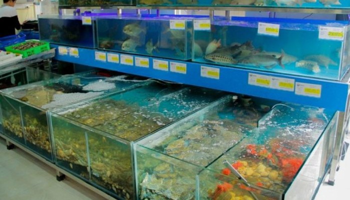 Hải Sản Tươi Sạch 2