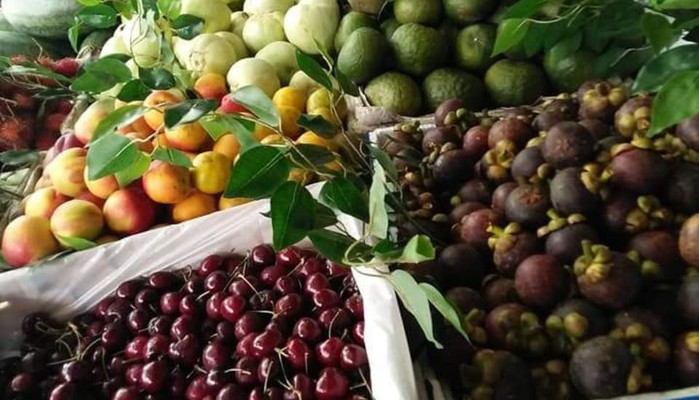 Cửa Hàng Trái Cây Tươi Biên Hằng