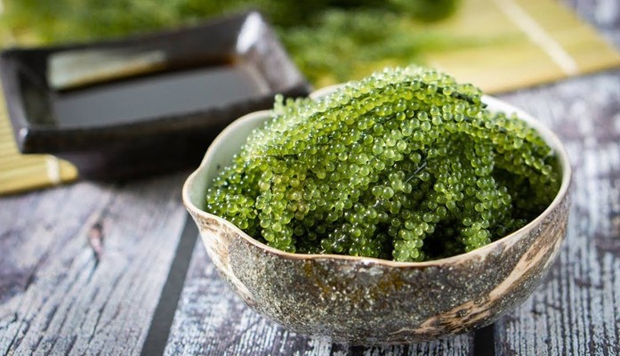 La Yến Team - Khỏe & Đẹp