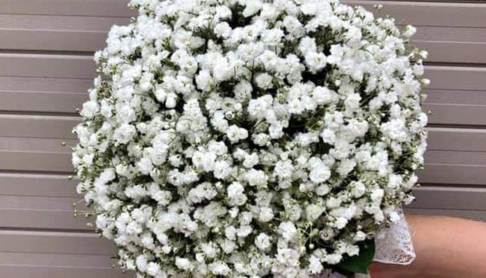 Hoa Tươi Hà Anh - Nguyễn Du