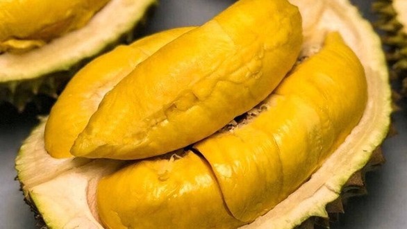 Vua Sầu Riêng - Lê Văn Lương