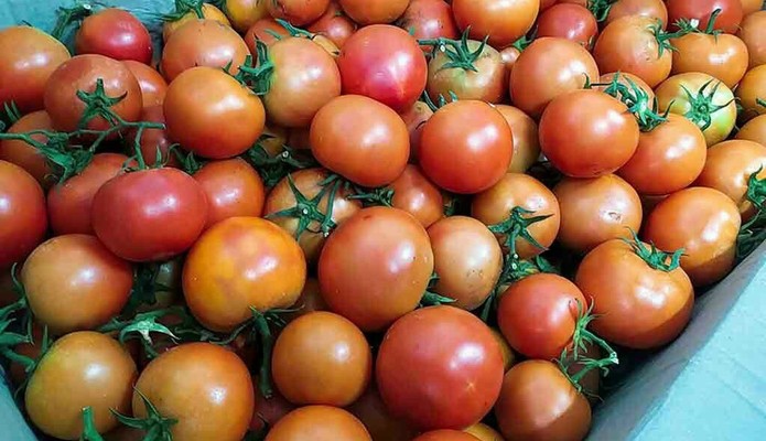 Cô Hương Mart - Khô & Thực Phẩm Đông Lạnh - Mai Văn Vĩnh