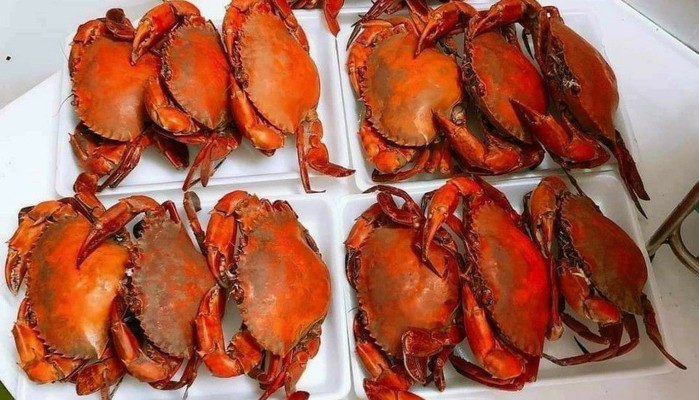 Vựa Cua Cà Mau - Hải Sản Cà Mau - Tân Kỳ Tân Quý