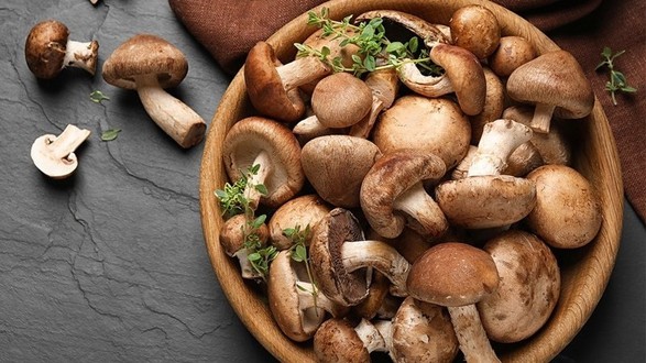 Hằng Nấm Tươi - Lê Thúc Hoạch