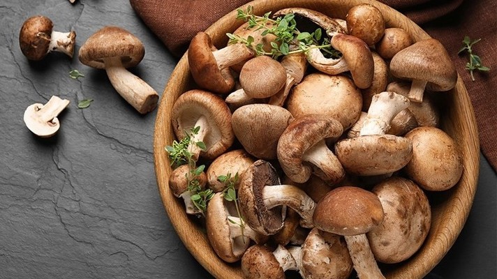 Hằng Nấm Tươi - Lê Thúc Hoạch