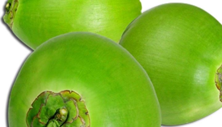 Dừa Xiêm Rau Củ Quả - Hoàng Bật Đạt