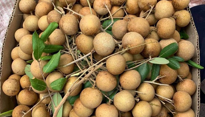 Kim Cúc - Trái Cây Sạch Miền Tây