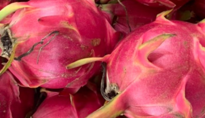 Chị Hiền - Hoa Quả Tươi & Thực Phẩm Tươi Sống