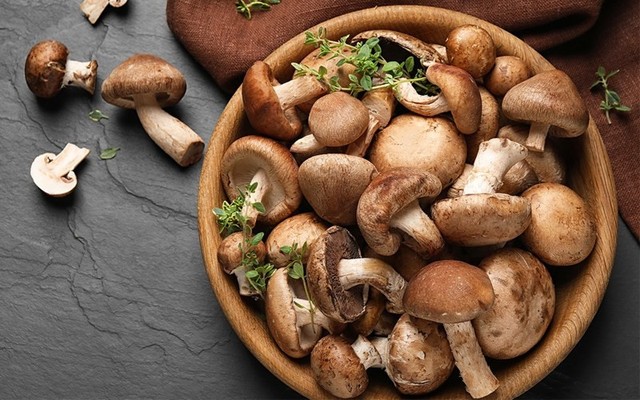 Nấm Tươi An An - Lê Thúc Hoạch